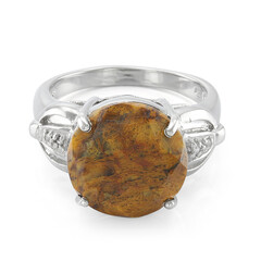 Zilveren ring met een dinosaurus kwarts