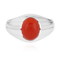 Zilveren herenring met een Rode onyx