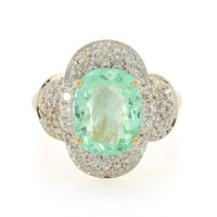 Gouden ring met een Nigeriaanse Paraiba Toermalijn (AMAYANI)