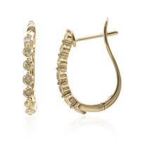 Gouden oorbellen met SI Fancy Diamanten (CIRARI)