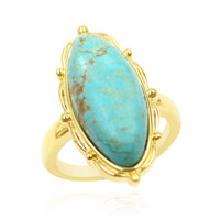 Zilveren ring met een Mine 8 Turkoois (Anne Bever)