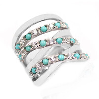 Zilveren ring met Campitos Turkooisen (Anne Bever)