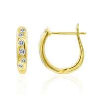 Gouden oorbellen met IF Diamanten (D)