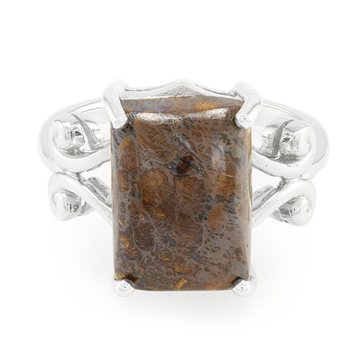 Zilveren ring met een dinosaurus kwarts