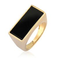 Zilveren ring met een zwarte onyx (de Melo)