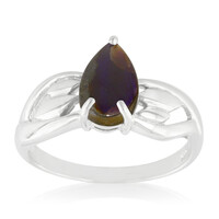 Zilveren ring met een ammoliet