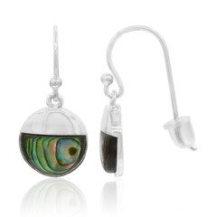 Zilveren oorbellen met Abalone schelpen