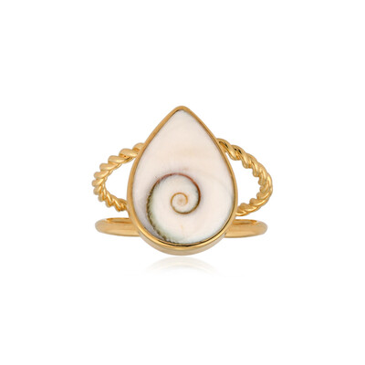 Zilveren ring met een Shiva oog (Bali Barong)