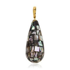 Zilveren hanger met Abalone schelpen