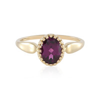 Gouden ring met een magenta granaat