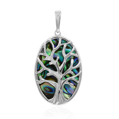 Zilveren hanger met een Abalone schelp