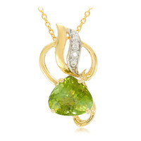 Gouden halsketting met een Paraiba toermalijn (AMAYANI)