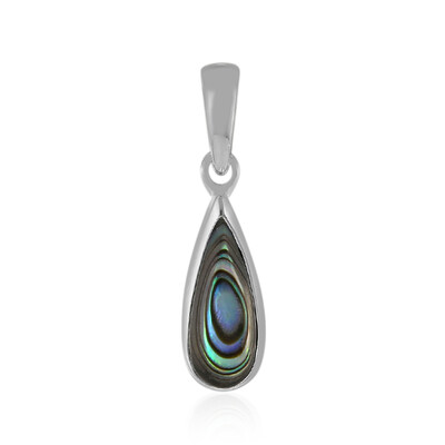 Zilveren hanger met een Abalone schelp