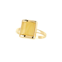 Zilveren ring met een Baltische barnsteen