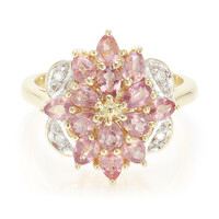 Gouden ring met Onverhitte Padparadscha Saffieren (AMAYANI)