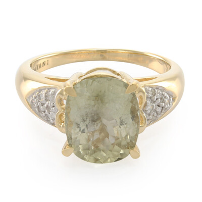 Gouden ring met een koper toermalijn (AMAYANI)