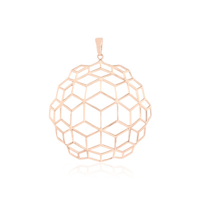 Zilveren hanger (SAELOCANA)