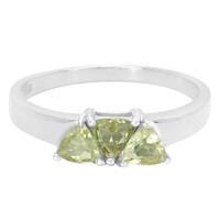 Zilveren ring met xia-apetieten