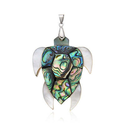 Zilveren hanger met Abalone schelpen