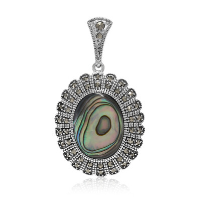 Zilveren hanger met een Abalone schelp