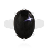 Zilveren ring met een Indische Ster Diopsied