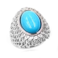 Zilveren ring met een Sleeping Beauty Turkoois (Anne Bever)