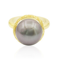 Zilveren ring met een Tahiti parel (TPC)