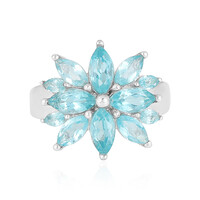 Zilveren ring met Blauwe apatieten