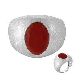 Zilveren ring met een onyx