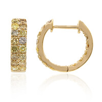 Gouden oorbellen met SI2 Fancy Diamanten (CIRARI)