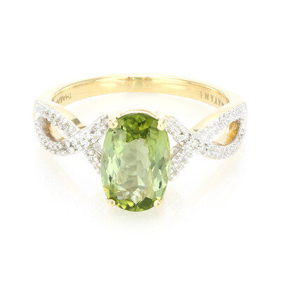 Gouden ring met een Paraiba toermalijn (AMAYANI)