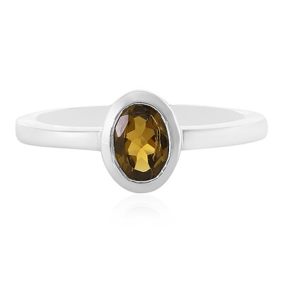 Zilveren ring met een toermalijn