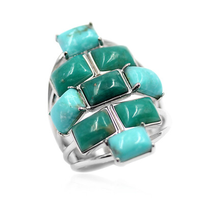 Zilveren ring met Campo Frio Turkooisen (Anne Bever)
