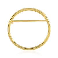 Zilveren broche