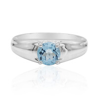Zilveren ring met een Zwitsers-blauwe topaas (Tenner Diniz)