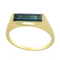Gouden ring met een Braziliaanse indoliet