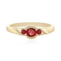 Gouden ring met een Tanzania robijn