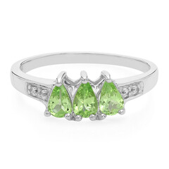 Zilveren ring met Merelani Granaten