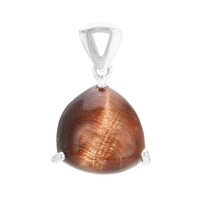Zilveren hanger met een rode tijgeroog