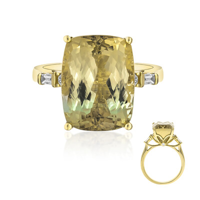 Gouden ring met een Congo Neon Toermalijn (AMAYANI)