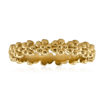 Zilveren ring