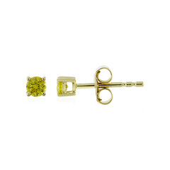 Gouden oorbellen met I4 Gele Diamanten