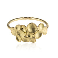 Zilveren ring (Joias do Paraíso)