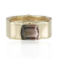 Gouden ring met een watermeloen-toermalijn (de Melo)