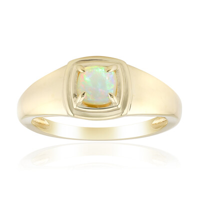 Gouden ring met een Braziliaanse witte opaal