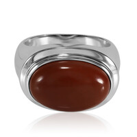 Zilveren ring met een rode jaspis