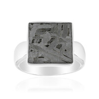 Zilveren ring met een Aletai meteoriet