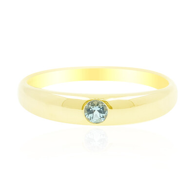 Gouden ring met een Nigeriaanse Paraiba Toermalijn