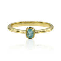 Gouden ring met een Grandidiriet (AMAYANI)