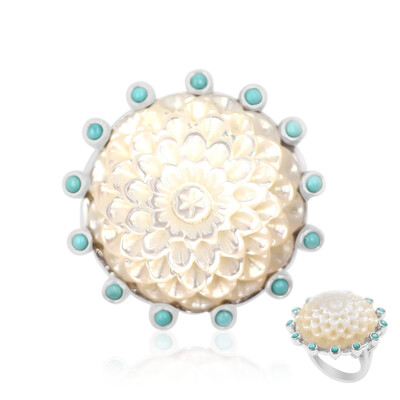 Zilveren ring met een parelmoer (Anne Bever)